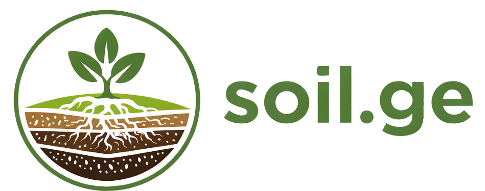 შავი მიწა